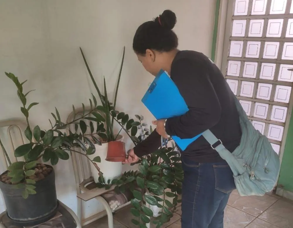 4ª ação especial de combate ao Aedes aegypti será neste sábado (1º) em bairros da zona Norte