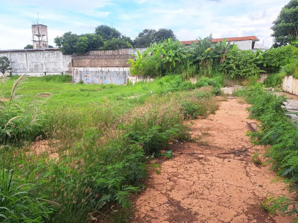 Antigo complexo esportivo da Vila Altaneira vira um terreno baldio e coberto por mato
