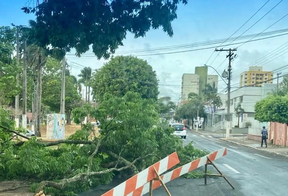 Prefeitura de Marília atua em pontos afetados pelo temporal desta segunda-feira